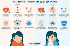 Вакцинация против сезонного ГРИППА