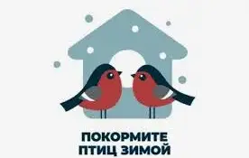 Экологическая акция "Покормим птиц вместе"